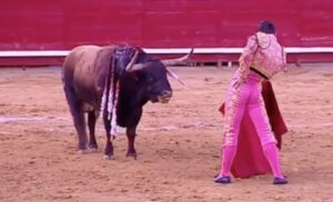 Chacón, con el toro de Mayalde premiado en Bargas.