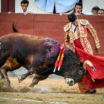 Madrid, domingo 13 de octubre de 2019