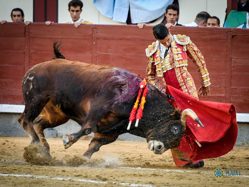Madrid, domingo 13 de octubre de 2019