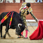 Madrid, domingo 13 de octubre de 2019