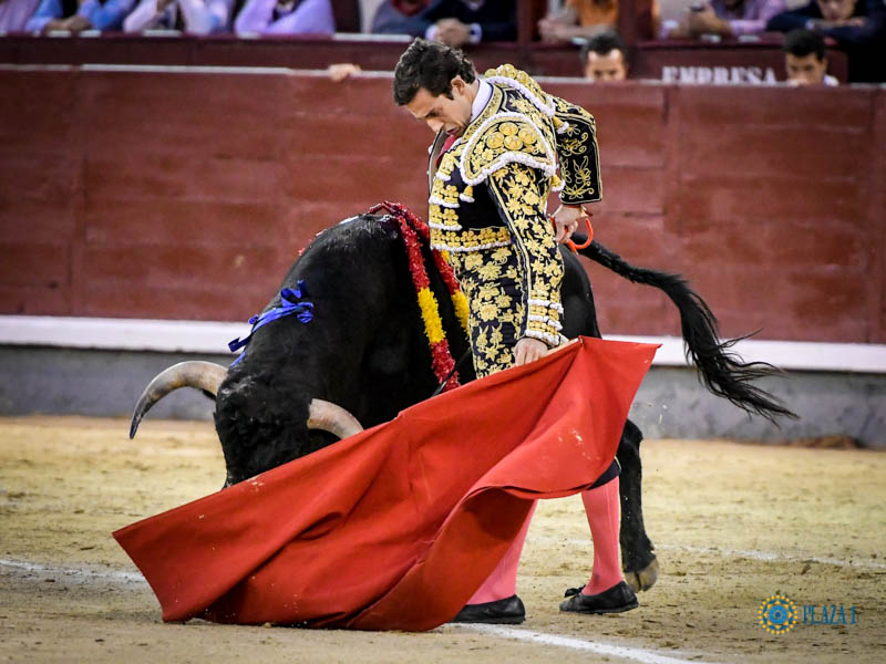 Madrid, domingo 13 de octubre de 2019