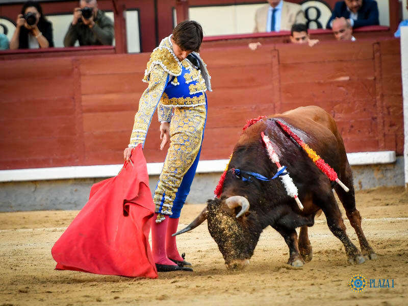 Madrid, domingo 13 de octubre de 2019