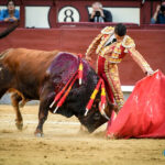 Madrid, domingo 13 de octubre de 2019