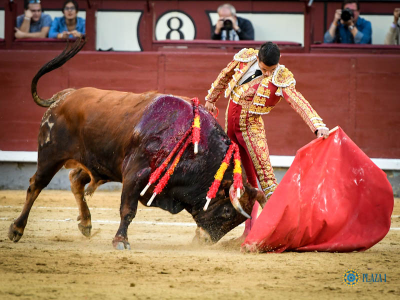 Madrid, domingo 13 de octubre de 2019
