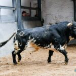 Sorteo. Madrid, sábado 12 de octubre de 2019