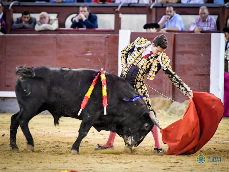 Madrid, domingo 13 de octubre de 2019