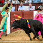 Madrid, domingo 13 de octubre de 2019