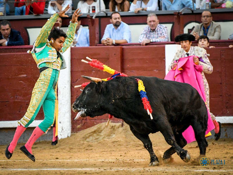 Madrid, domingo 13 de octubre de 2019