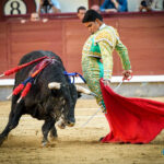 Madrid, domingo 13 de octubre de 2019