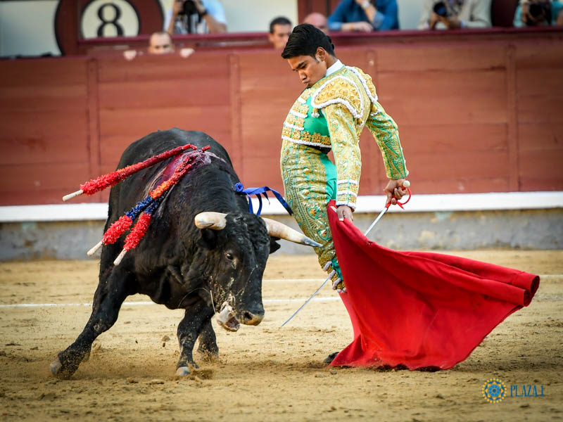 Madrid, domingo 13 de octubre de 2019