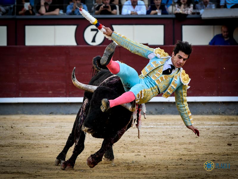 Madrid, sábado 12 de octubre