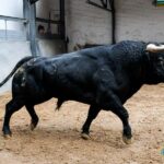 Sorteo. Madrid, sábado 12 de octubre de 2019