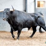 Madrid. Sábado, 5 de octubre. Orden de lidia.