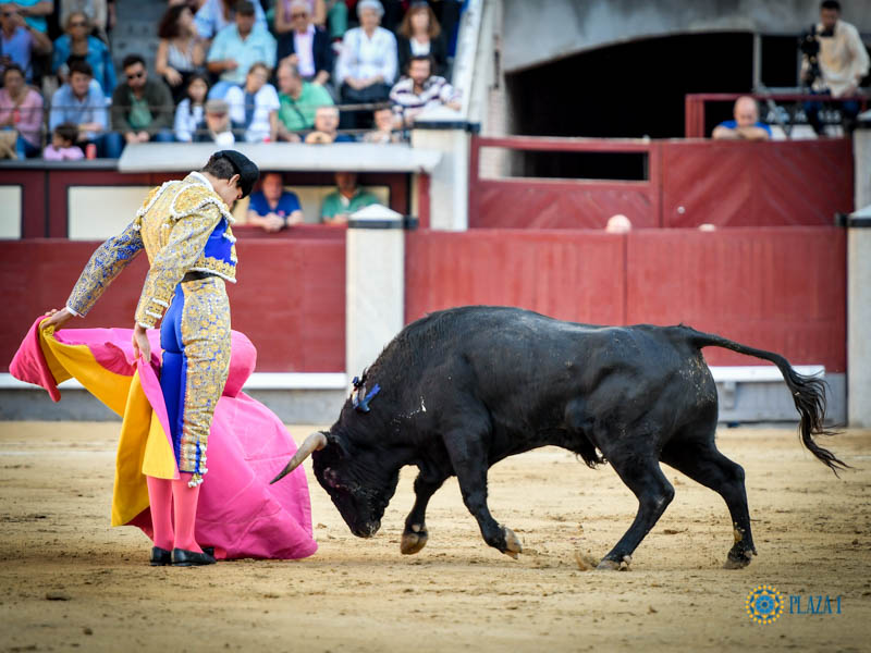Madrid, domingo 13 de octubre de 2019