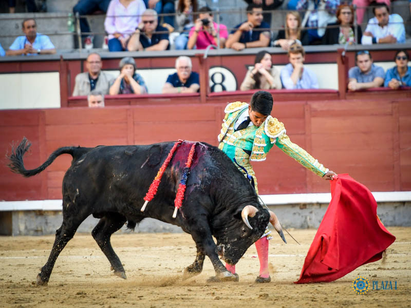 Madrid, domingo 13 de octubre de 2019