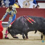 Madrid, sábado 12 de octubre de 2019