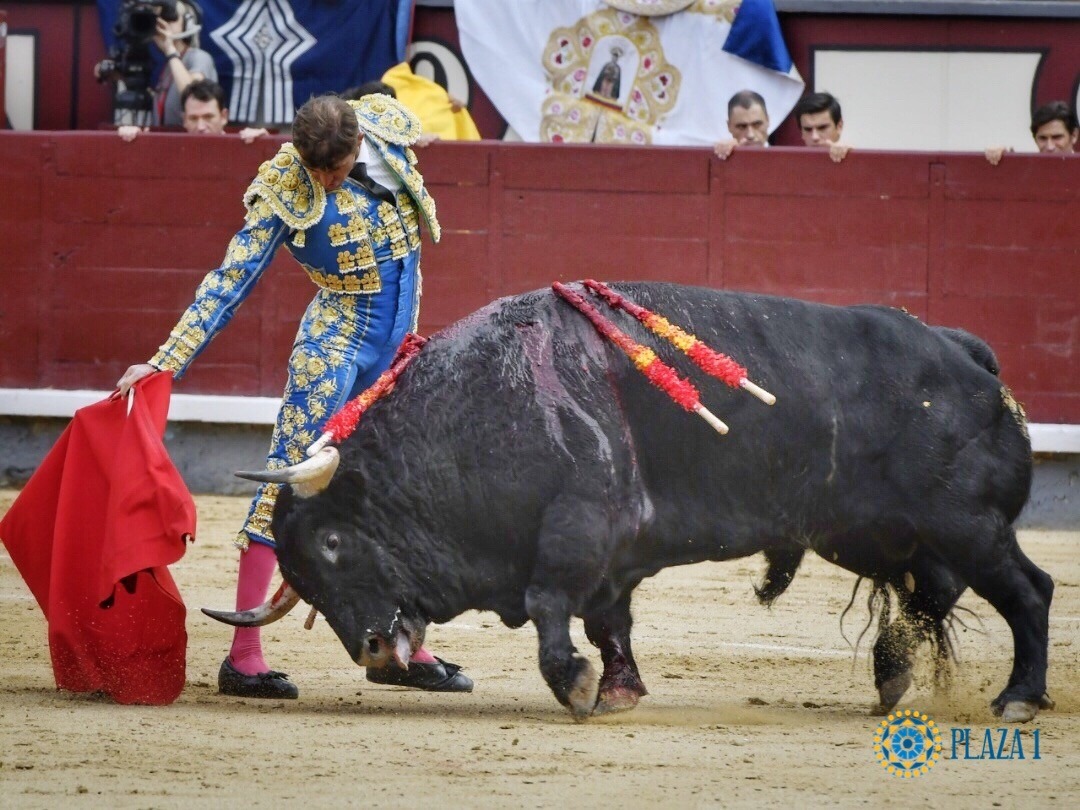 Madrid, sábado 12 de octubre de 2019