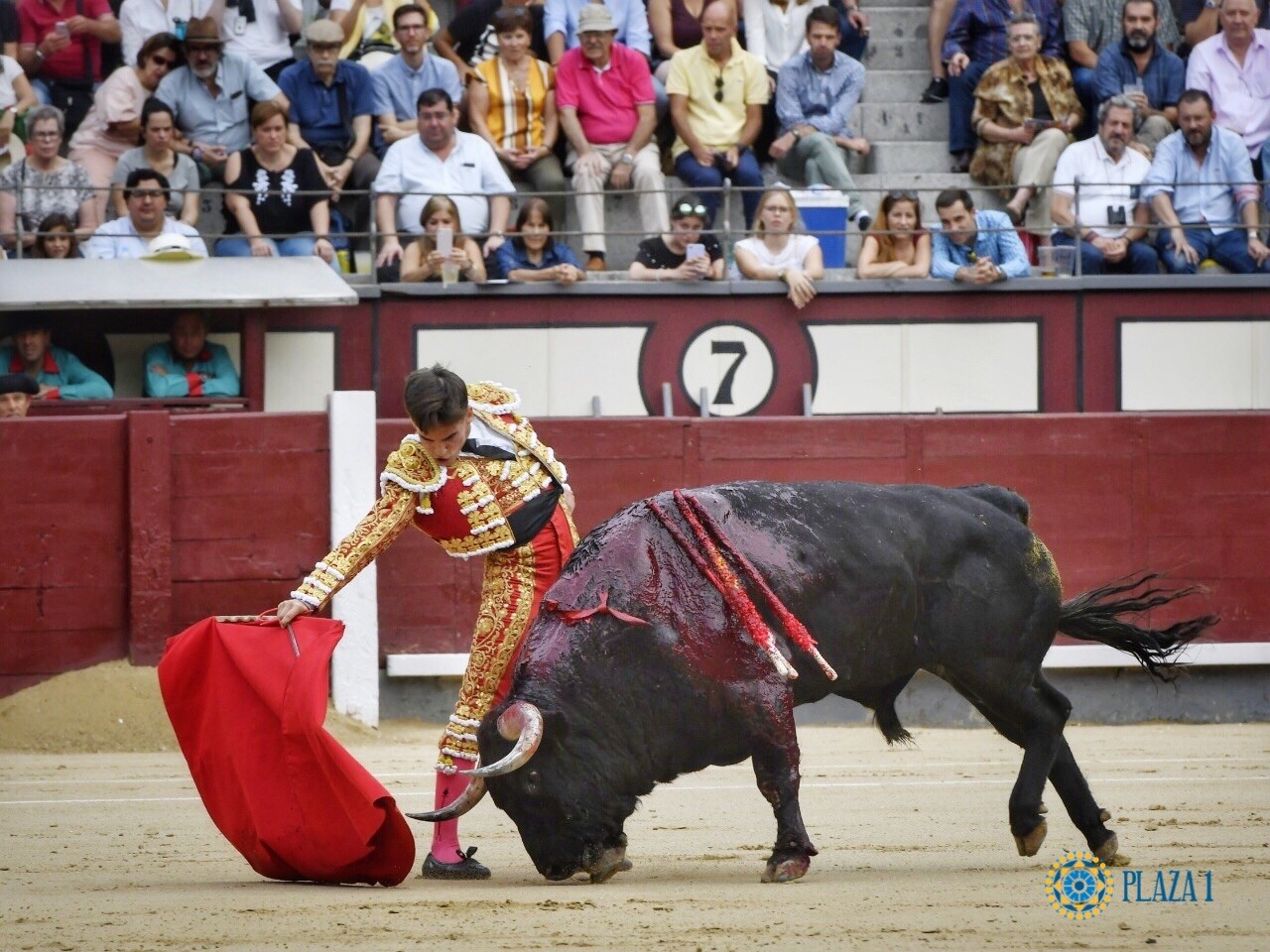 Madrid, sábado 12 de octubre de 2019