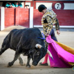 Madrid, domingo 13 de octubre de 2019