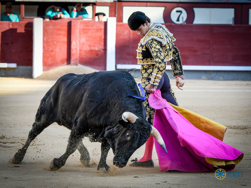 Madrid, domingo 13 de octubre de 2019