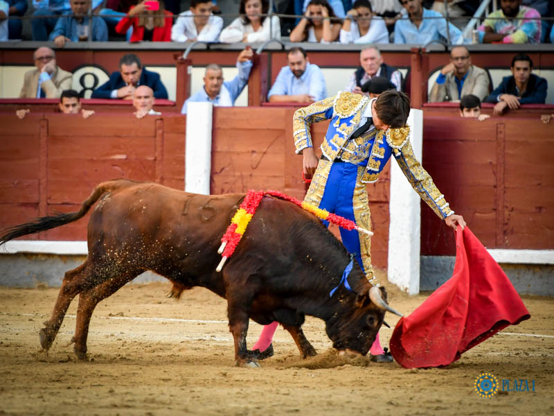Madrid, domingo 13 de octubre de 2019