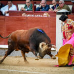 Madrid, domingo 13 de octubre de 2019