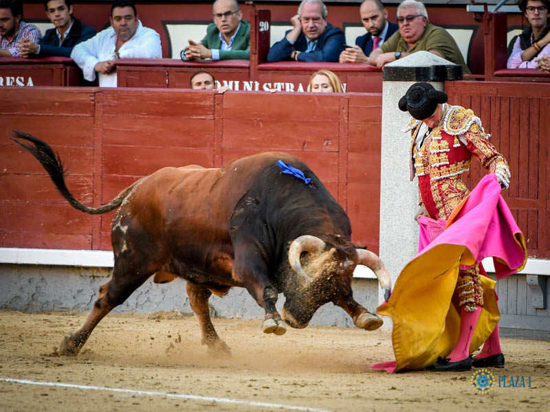 Madrid, domingo 13 de octubre de 2019