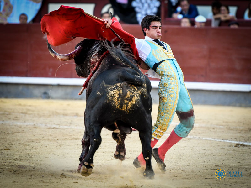 Madrid, sábado 12 de octubre