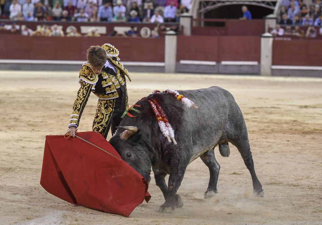 Madrid. Domingo, 6 de octubre de 2019.