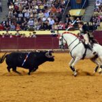 Lisboa, 10 de octubre de 2019