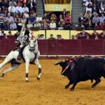 Lisboa, 10 de octubre de 2019