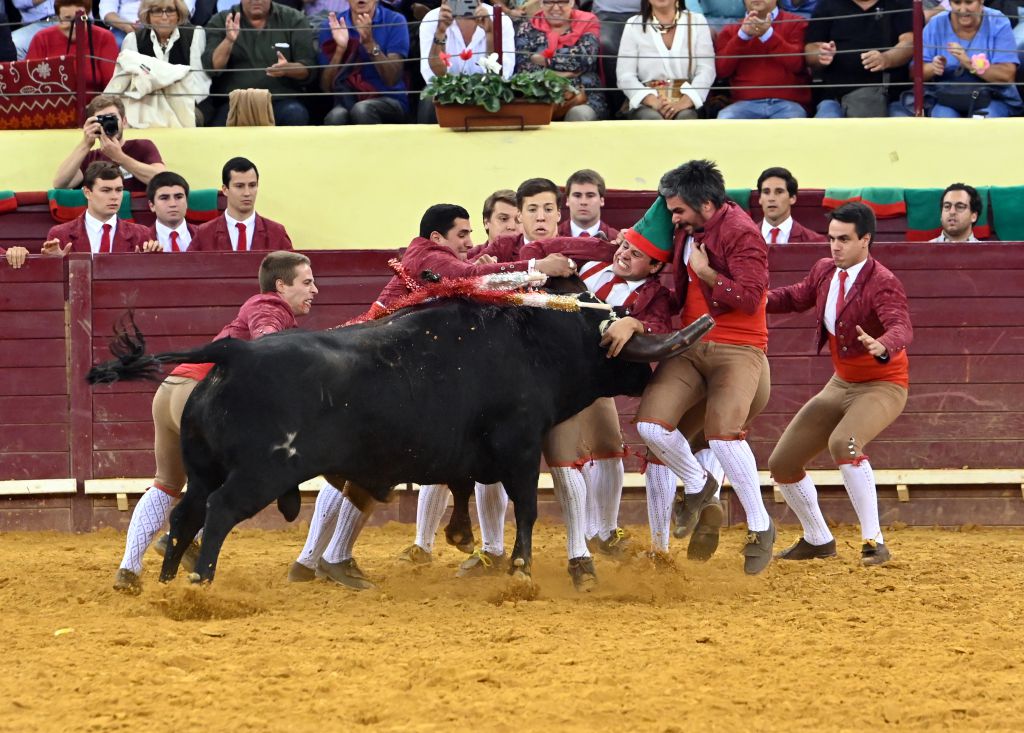 Lisboa, 10 de octubre de 2019