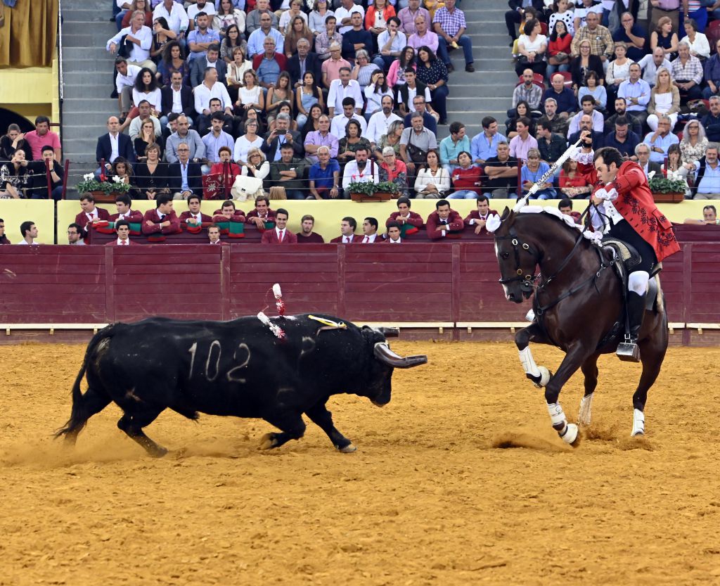 Lisboa, 10 de octubre de 2019