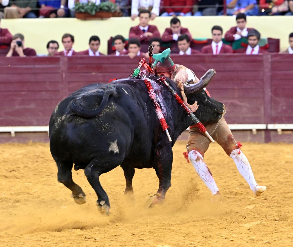 Lisboa, 10 de octubre de 2019