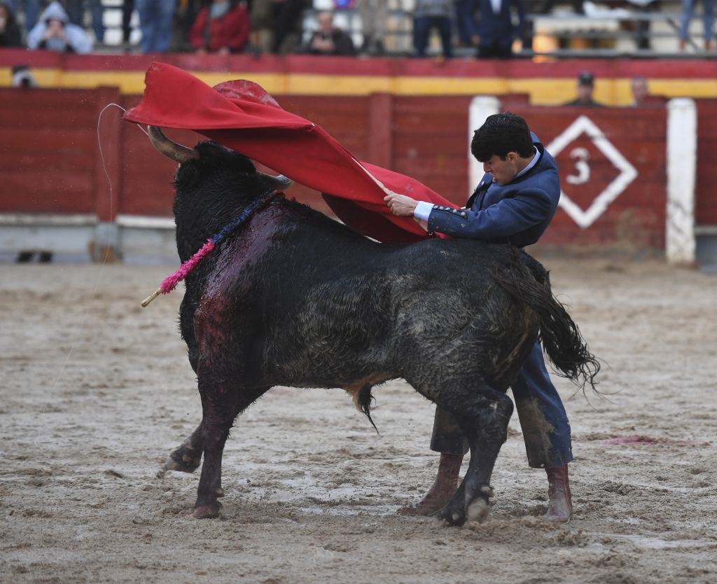 Chinchón, domingo 20 de octubre de 2019