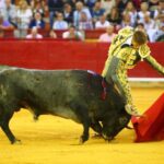 Zaragoza, miércoles 9 de octubre de 2019