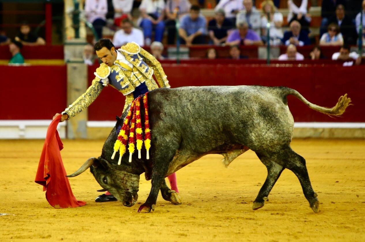 Zaragoza, miércoles 9 de octubre de 2019