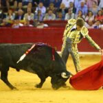 Zaragoza, miércoles 9 de octubre de 2019