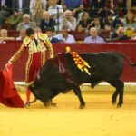 Zaragoza, miércoles 9 de octubre de 2019