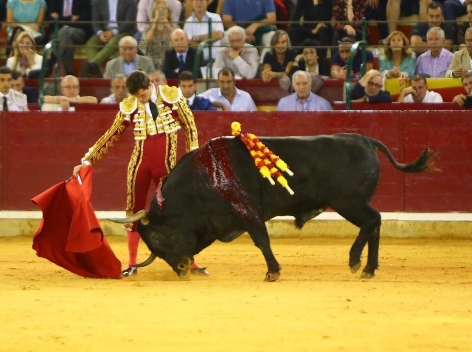 Zaragoza, miércoles 9 de octubre de 2019