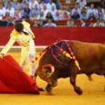 Zaragoza, viernes 11 de octubre de 2019