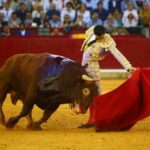 Zaragoza, viernes 11 de octubre de 2019