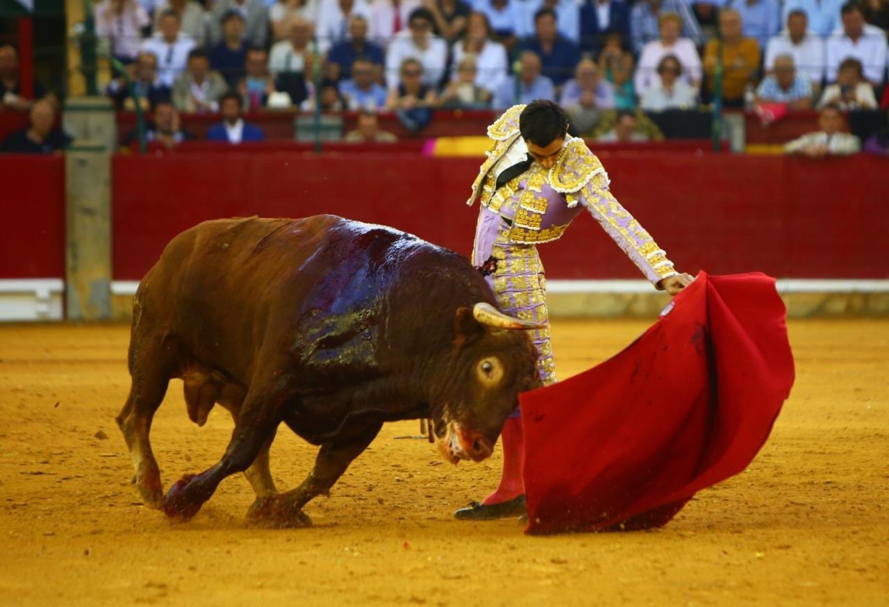 Zaragoza, viernes 11 de octubre de 2019