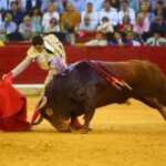 Zaragoza, viernes 11 de octubre de 2019