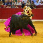 Zaragoza, viernes 11 de octubre de 2019