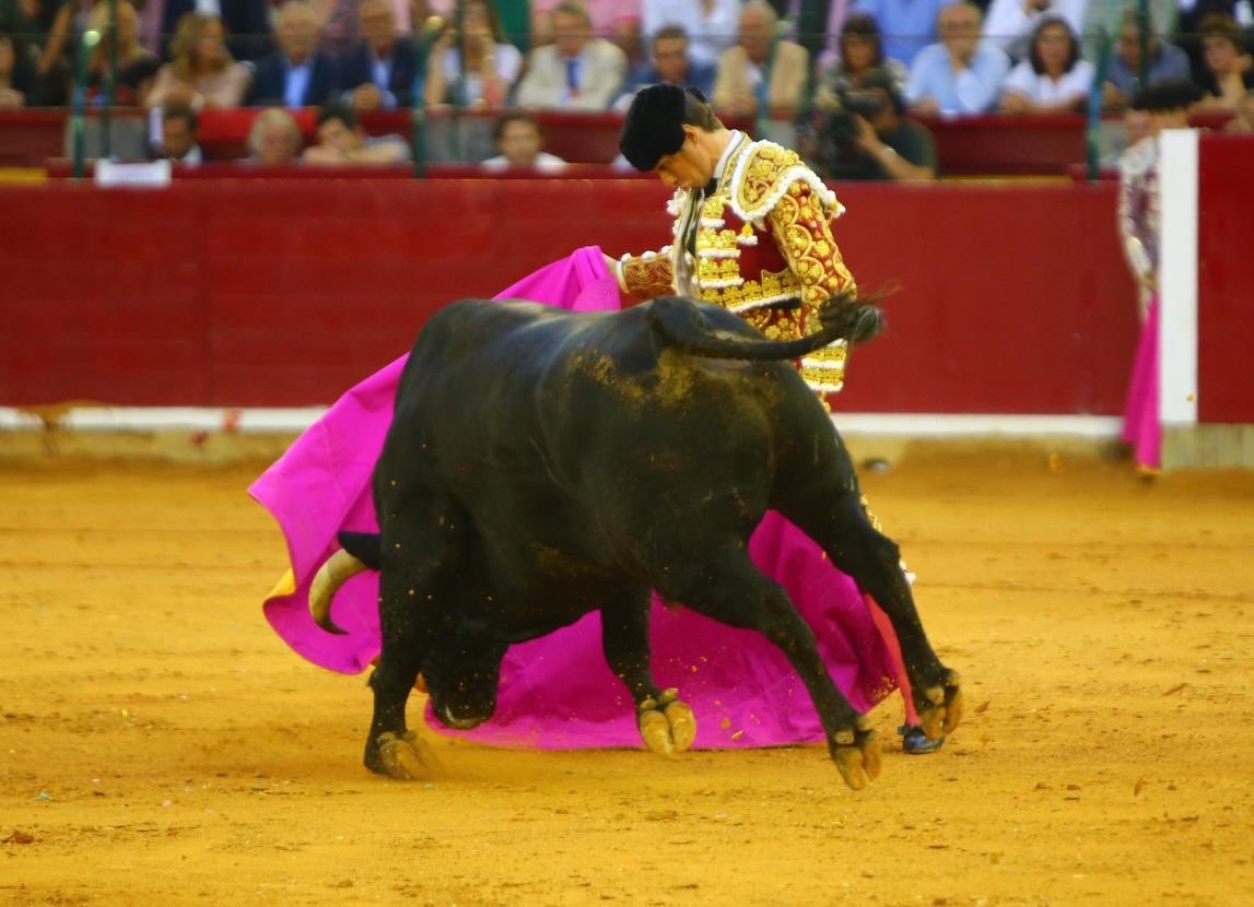 Zaragoza, viernes 11 de octubre de 2019