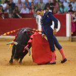 Zaragoza, sábado 12 de octubre de 2019