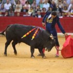 Zaragoza, sábado 12 de octubre de 2019