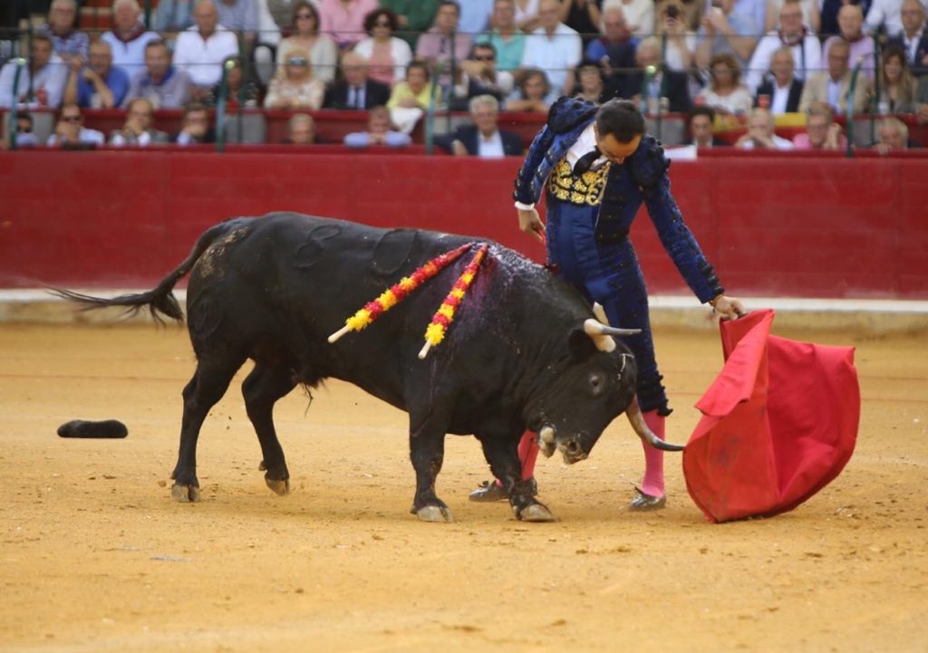 Zaragoza, sábado 12 de octubre de 2019