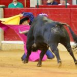 Zaragoza, sábado 12 de octubre de 2019